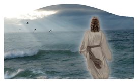 DASHELL-123 Walking On Water